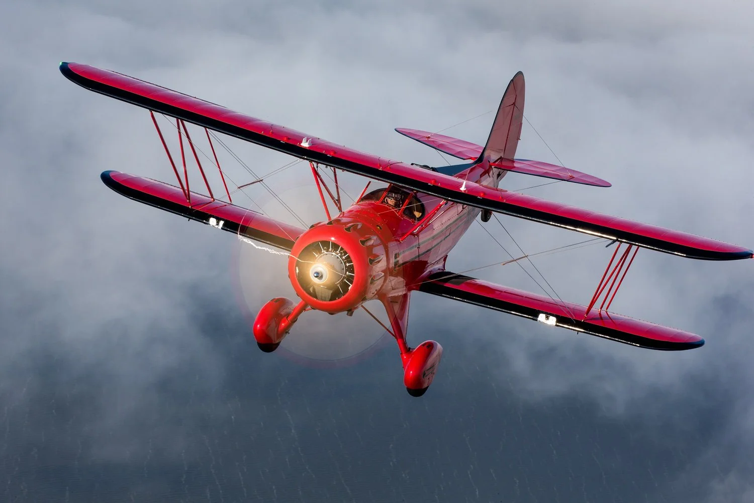 aviator hack